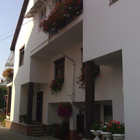 Bed and Breakfast Anna Vendeghaz Szegedin Exterior foto