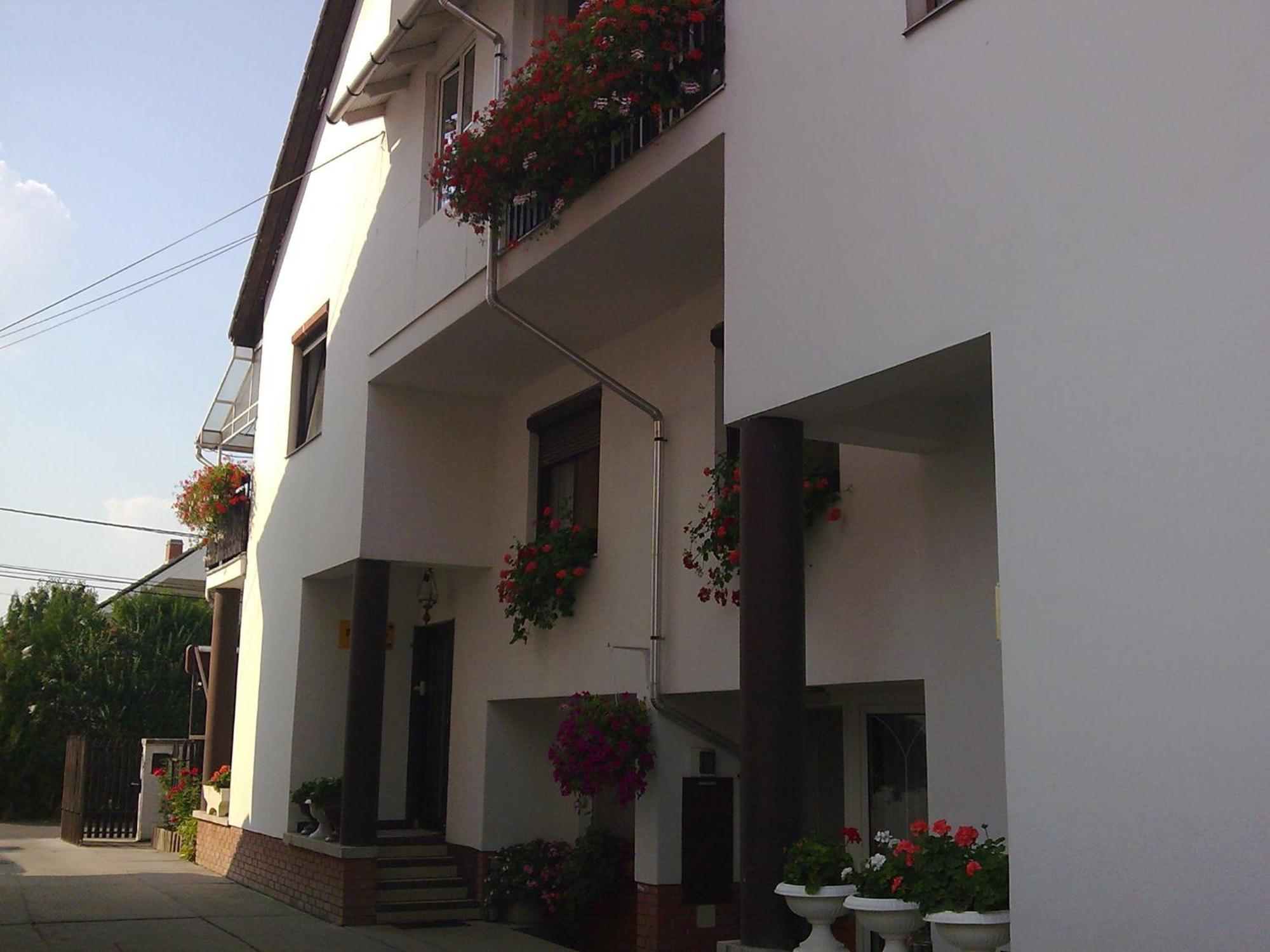 Bed and Breakfast Anna Vendeghaz Szegedin Exterior foto